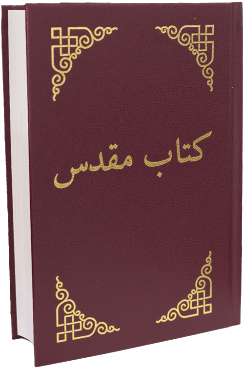 The 2008 Dari New Testament