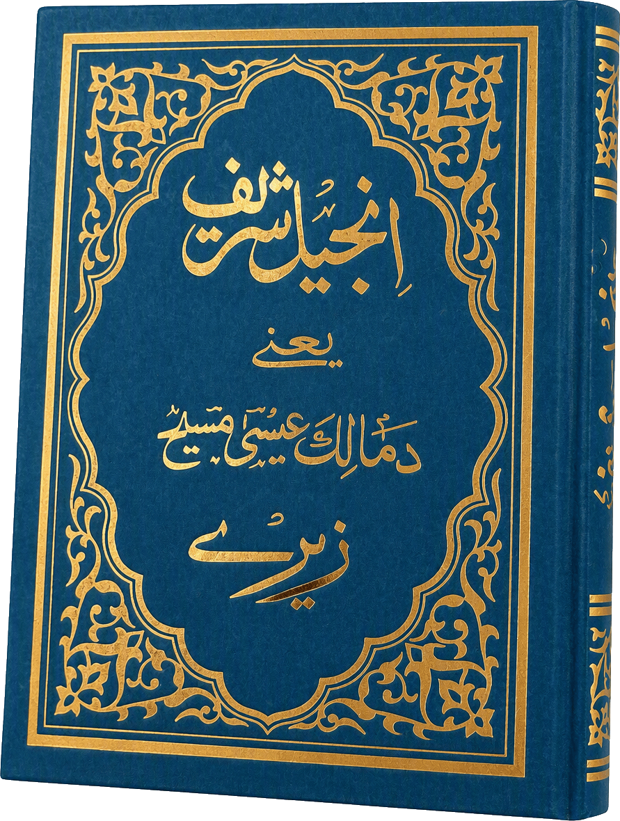 The 1991 Mixed Pashto New Testament